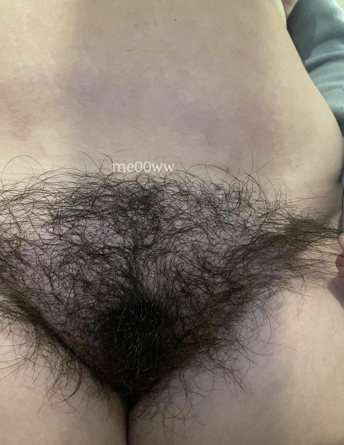 Mulheres Peludas / pearlygirly06 Nude Vazamentos do OnlyFans 1