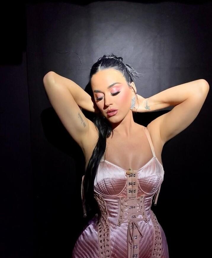Katy Perry / katyperry Nude OnlyFans Vazamentos 1
