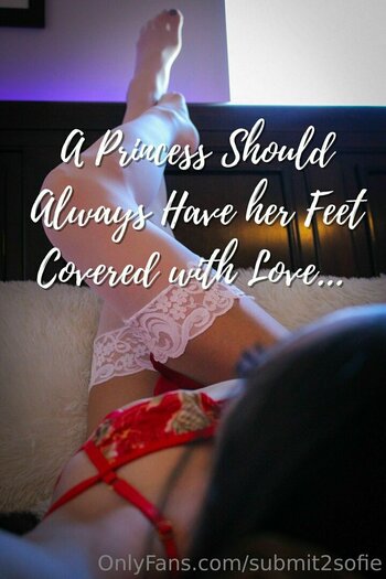 submit2sofie / slayerofliarsandscammers2.0 Vazamentos Nuas OnlyFans Foto 10