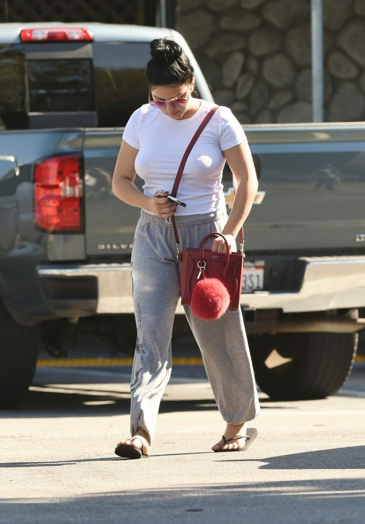 Ariel Winter Braless 5