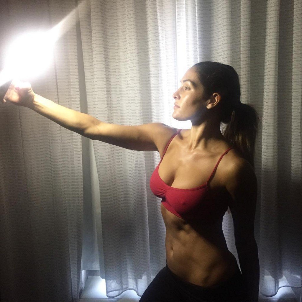Nikki Bella Pokies