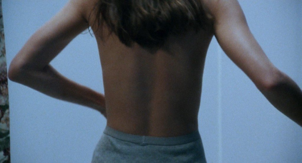 Shannon Elizabeth Nude 2 thefappening.so
