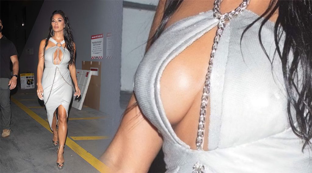 Nicole Scherzinger Hot Boobs